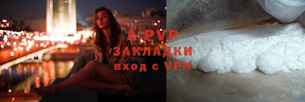 стаф Бронницы