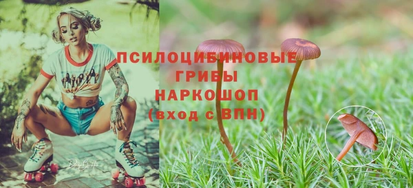 твердый Алексин