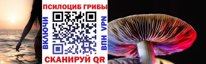 купить закладку  Усинск  mega ТОР  Галлюциногенные грибы мухоморы 